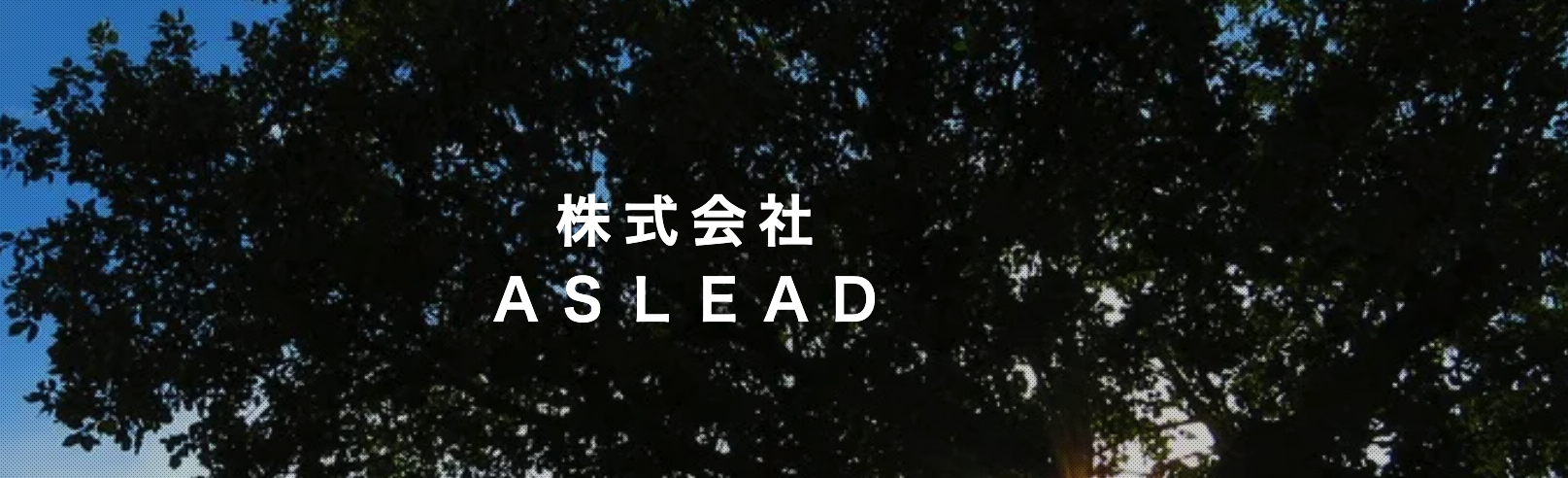 株式会社ASLEAD